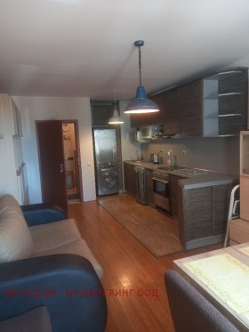 2 bedroom Poduyane, Sofia 12