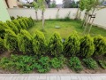 Под наем 2-СТАЕН, град София, Горубляне • 600 € • 86619271 — Holmes.bg