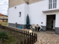 Дава под наем  Етаж от къща град София , Модерно предградие , 80 кв.м | 86496103 - изображение [8]