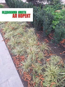 ���� ��� ���� 2-����� | Imot.bg � ����� ������ 16