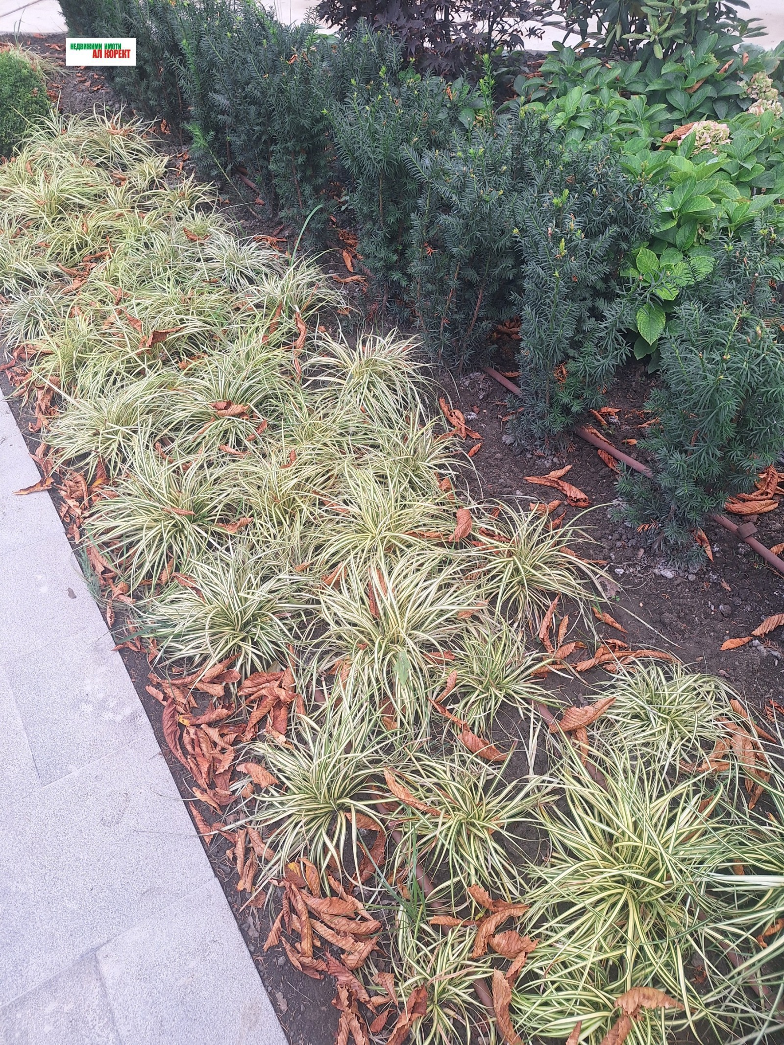 Дава под наем 2-СТАЕН, гр. Варна, м-т Салтанат, снимка 15 - Апартаменти - 53663460