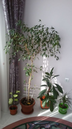 ���� ��� ���� 2-����� | Imot.bg � ����� ������ 7
