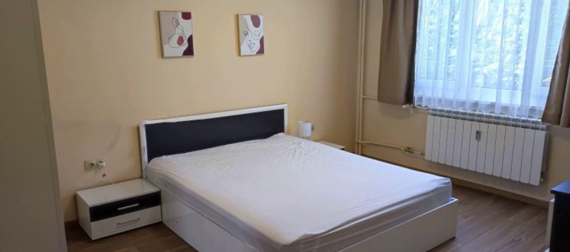 Vuokrattavana  1 makuuhuone Sofia , Tsentar , 80 neliömetriä | 21601321 - kuva [5]
