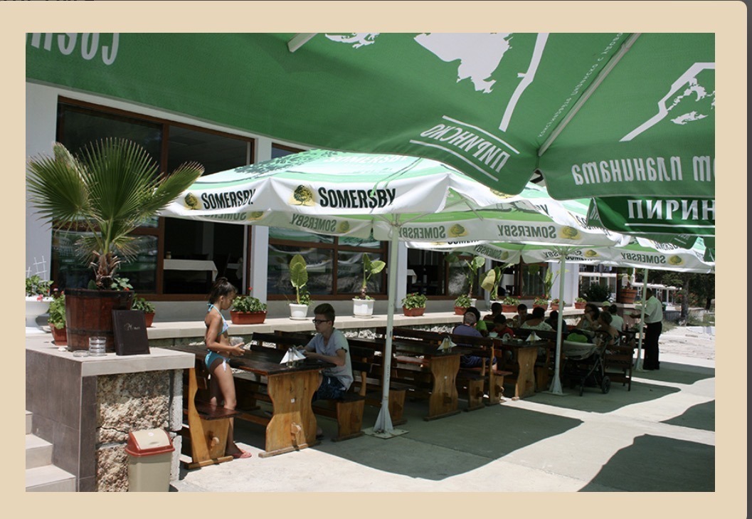 Дава под наем ЗАВЕДЕНИЕ, с. Топола, област Добрич, снимка 2 - Заведения - 53906774