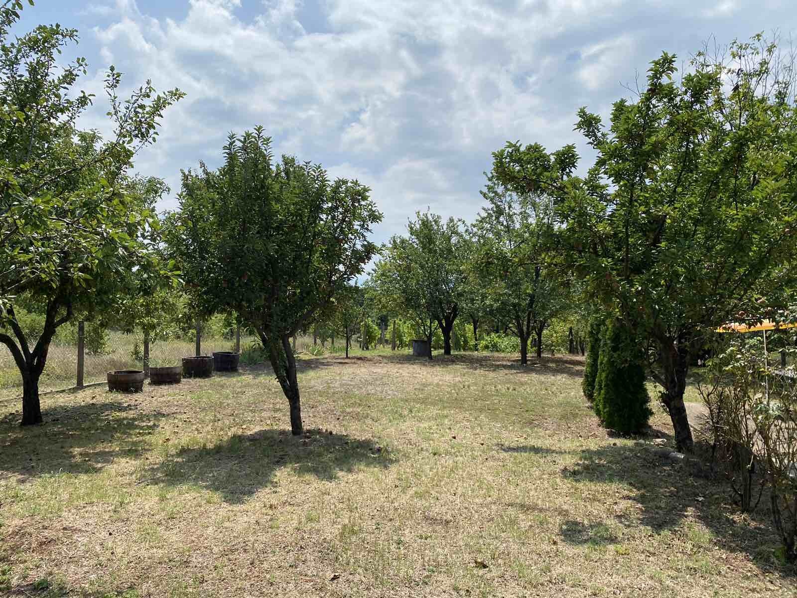Дава под наем ВИЛА, гр. Монтана, в.з. Запад, снимка 13 - Вили - 54719038