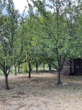 Дава под наем ВИЛА, гр. Монтана, в.з. Запад, снимка 8