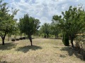 Дава под наем ВИЛА, гр. Монтана, в.з. Запад, снимка 13