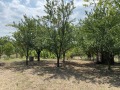 Дава под наем ВИЛА, гр. Монтана, в.з. Запад, снимка 16
