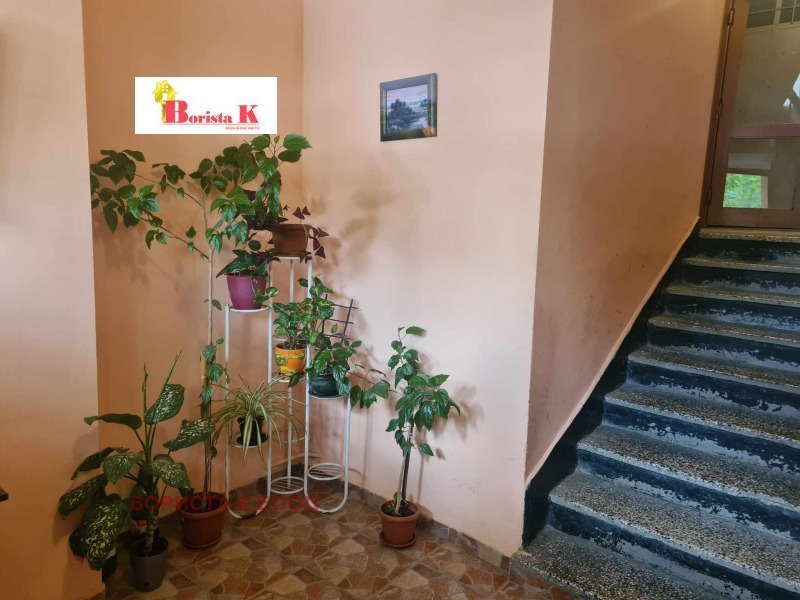 Издаје се  Студио Софија , Овча купел 2 , 45 м2 | 89163229 - слика [2]