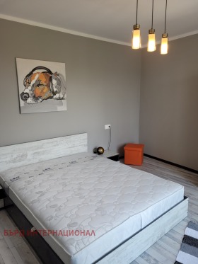 1 quarto Darvenica, Sofia 8