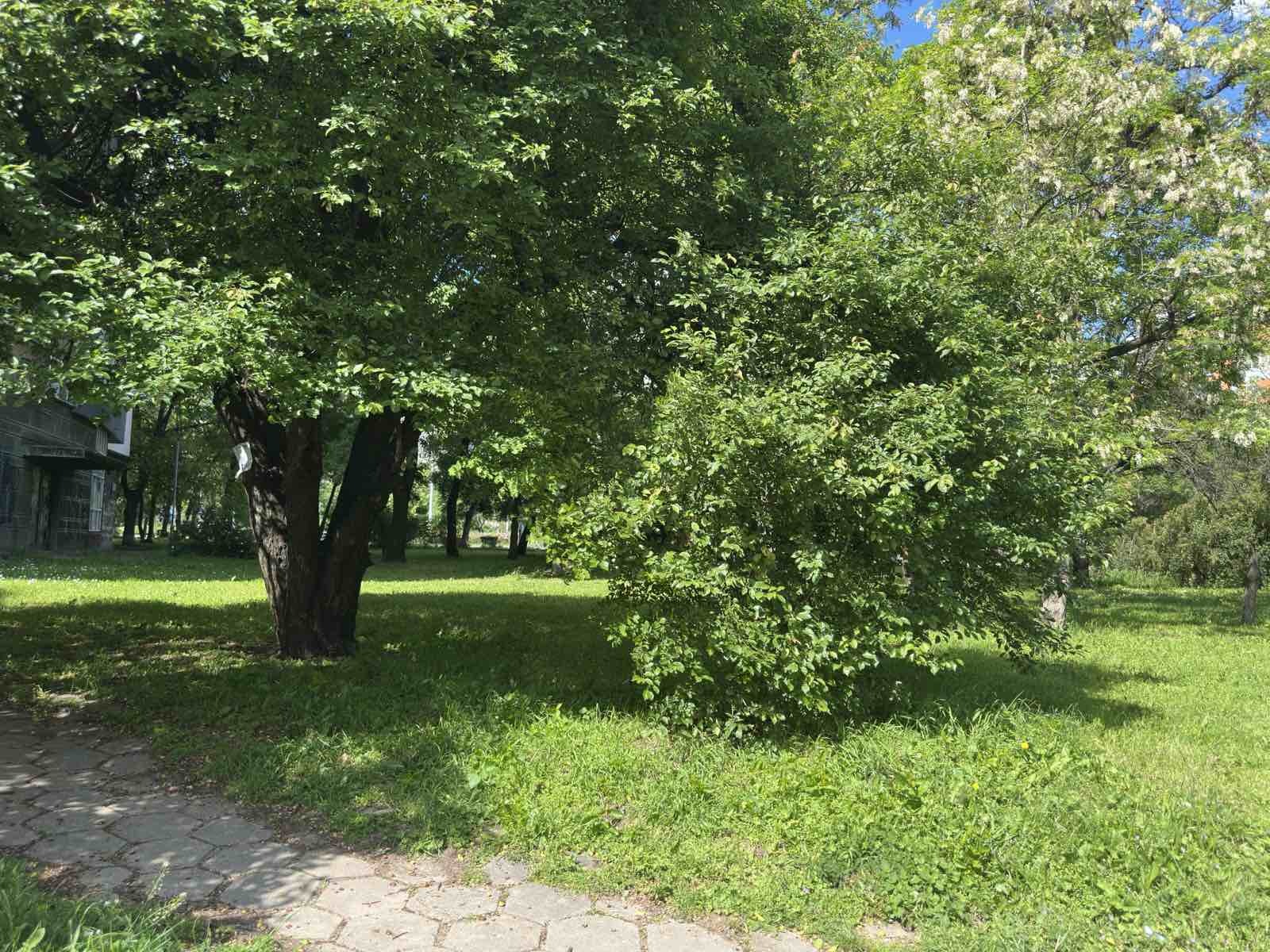 ���� ��� ���� ������, ����� | Imot.bg � ����������� 8