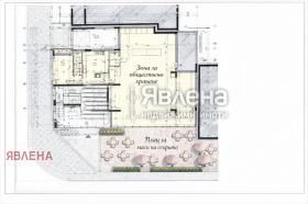 ����� ���� ��� ���� ���������,���� �����, ������