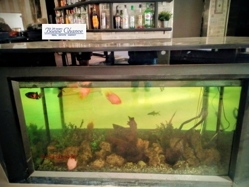 En renta  Bar; Cafetería Sofia , Borovo , 260 metros cuadrados | 29766912 - imagen [6]