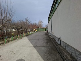 ����� ���� ��� ���� �����,���� ������, ������������ ���� - �����