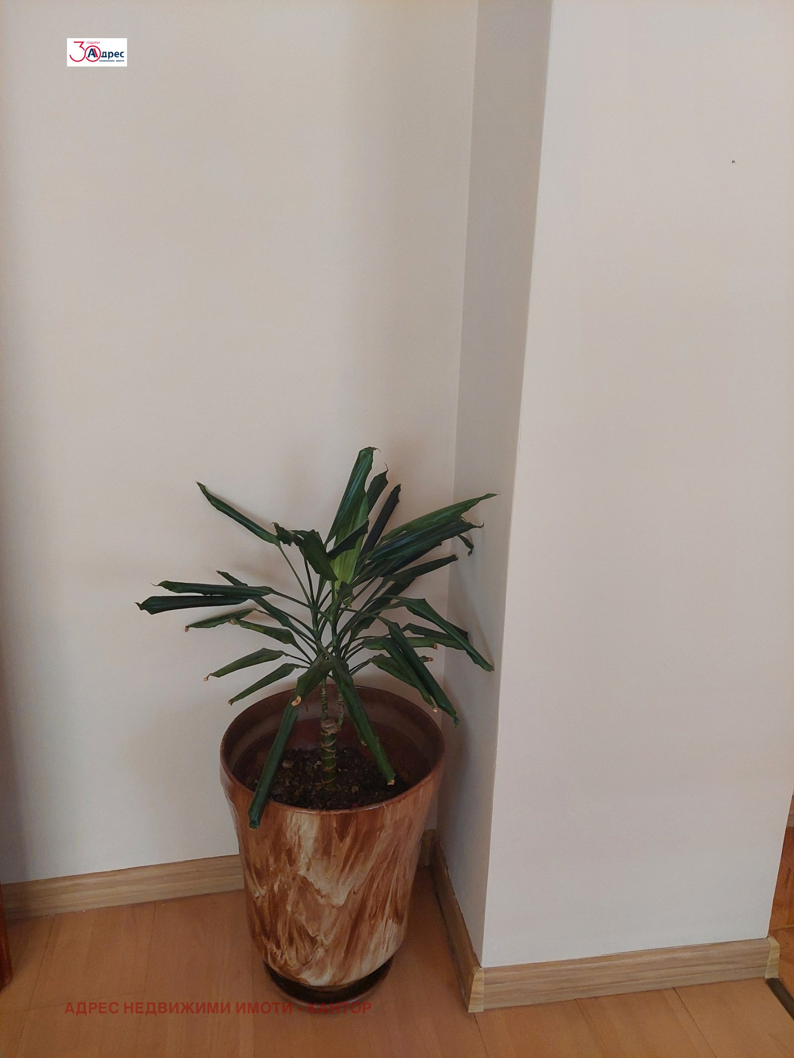 ���� ��� ���� 3-����� | Imot.bg � ����������� 17