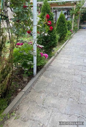    3- | Imot.bg    10