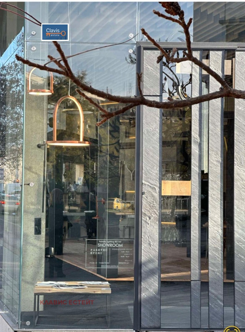 Дава под наем БИЗНЕС ИМОТ, гр. Пловдив, Център, снимка 3 - Други - 51846914