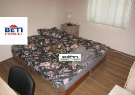 СТАЯ, 20 m2