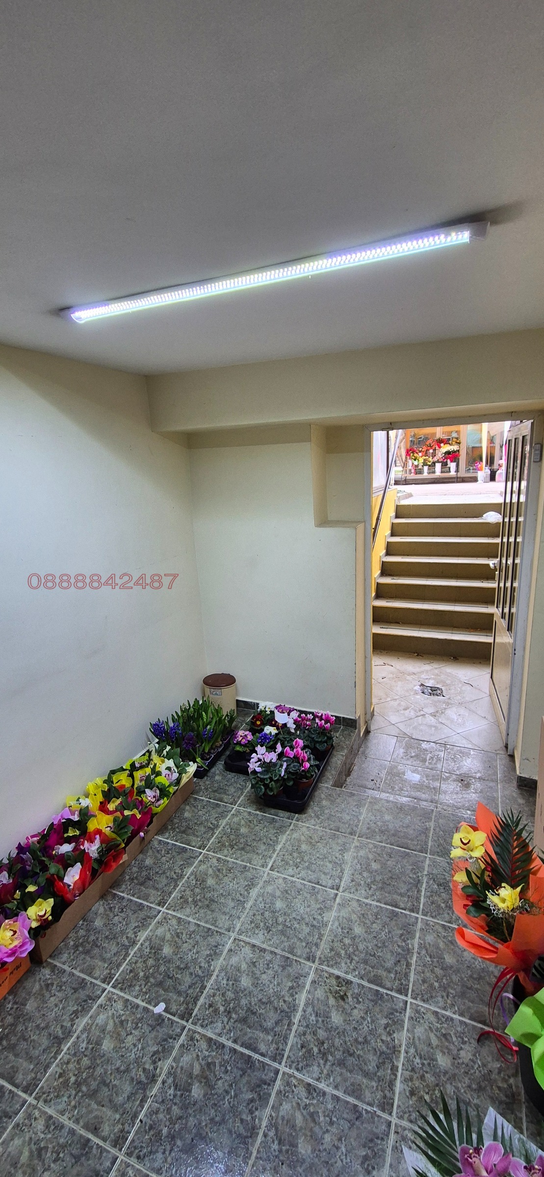 Дава под наем МАГАЗИН, гр. Монтана, Идеален център, снимка 7 - Магазини - 53667958