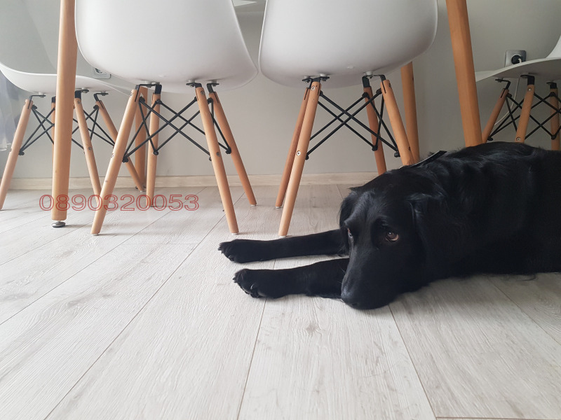 Дава под наем 2-СТАЕН, гр. Варна, Аспарухово, снимка 15 - Апартаменти - 52856823