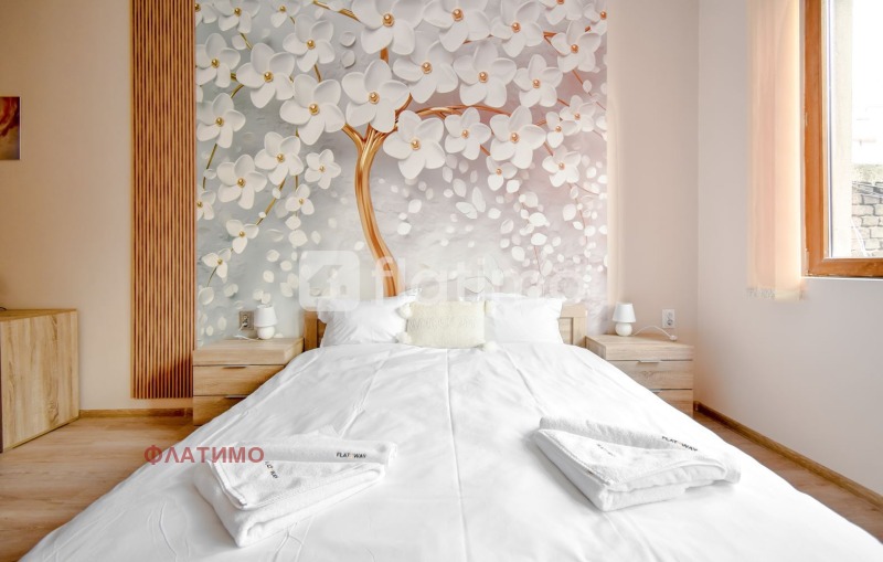 Te huur  1 slaapkamer Sofia , Tsentar , 80 m² | 99361832 - afbeelding [3]
