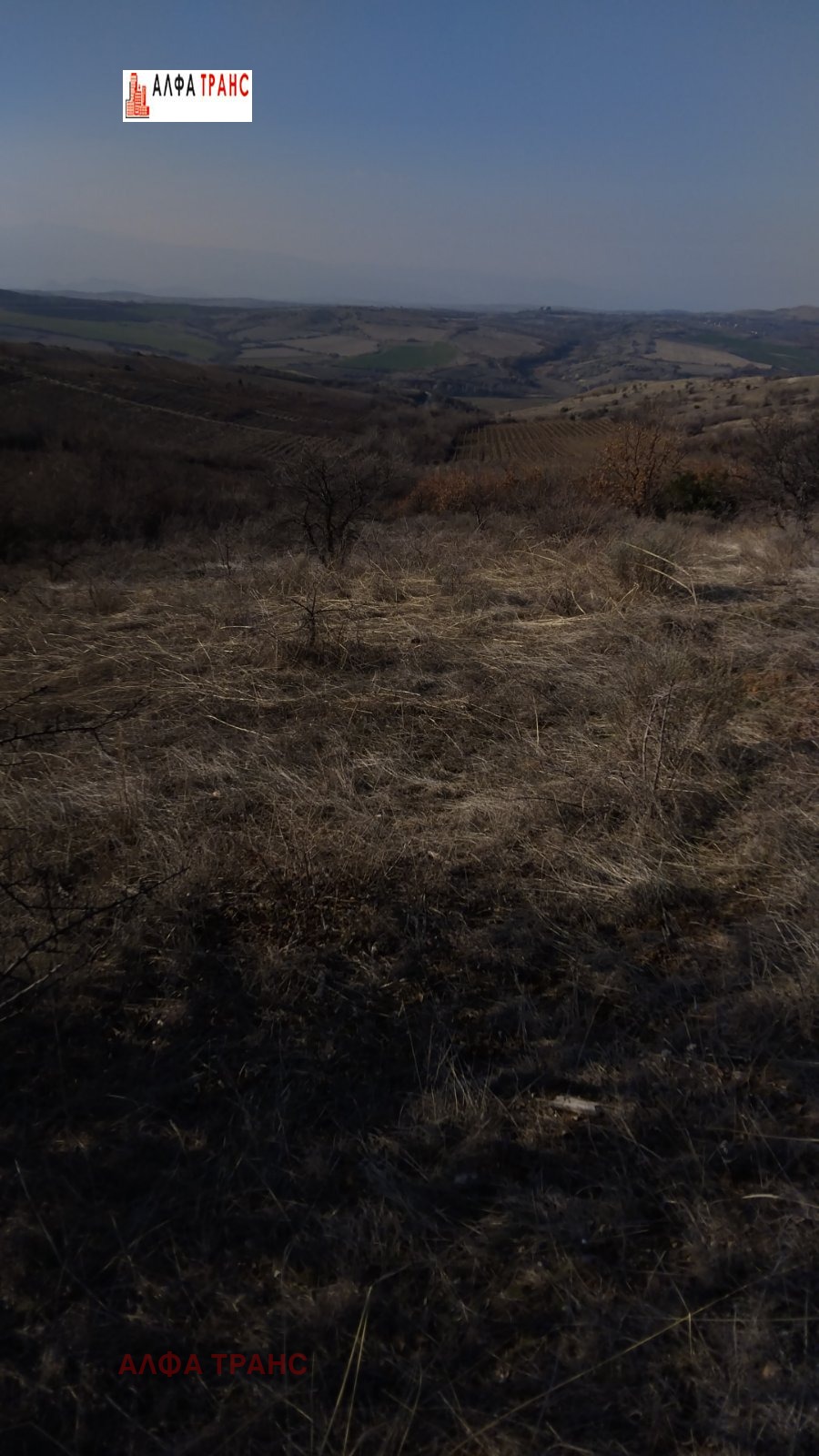 ���� ��� ������ ���������� ���� | Imot.bg � ����������� 2