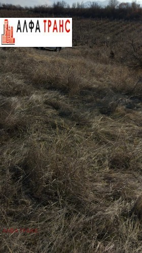 ���� ��� ������ ���������� ���� | Imot.bg � ����� ������ 3