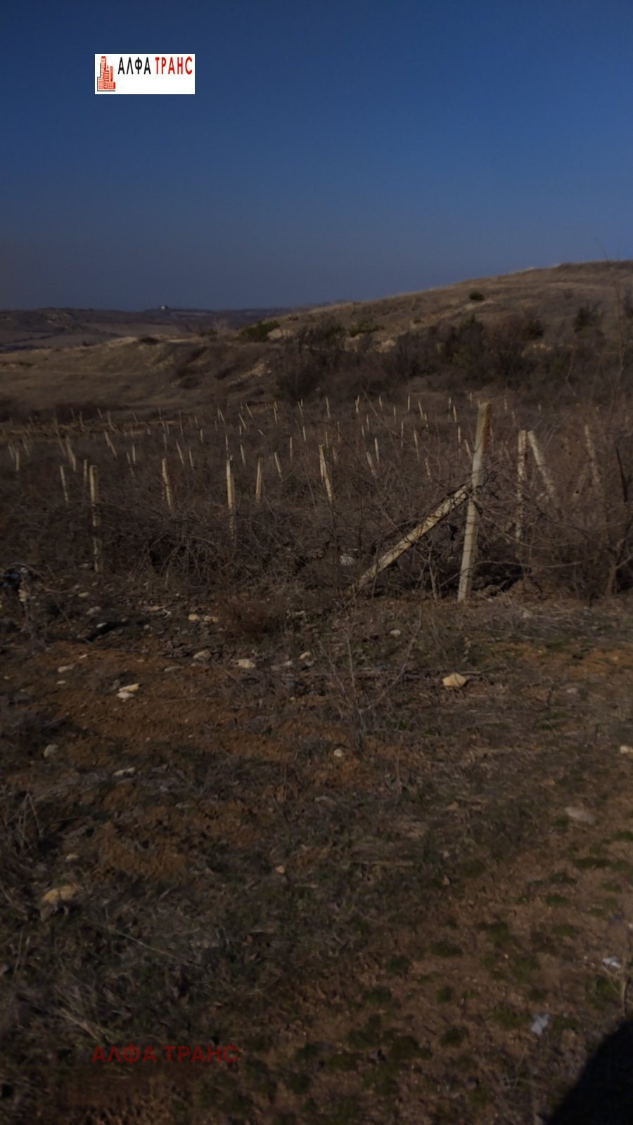Дава под наем ЗЕМЕДЕЛСКА ЗЕМЯ, гр. Сандански, област Благоевград