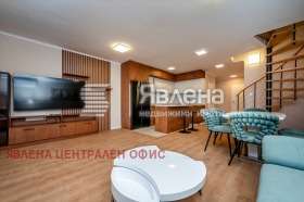 ����� ���� ��� ���� �������,���� �����, ����������� ������