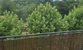 Дава под наем 2-СТАЕН, гр. Трявна, област Габрово, снимка 10