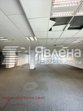 ����� ���� ��� ���� ����,���� �����, ��������