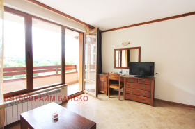 Studio Bansko, region Blagoevgrad 8