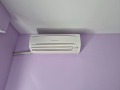 Под наем СТАЯ, град Пловдив, Въстанически • 180 € • 93108891 — Holmes.bg