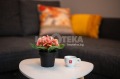 Под наем 2-СТАЕН, град Варна, Център • 750 € • 86658333 8