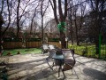 Под наем ЗАВЕДЕНИЕ, град София, Белите брези • 3850 € • 50576738 14