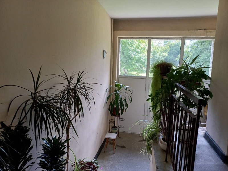 For Rent  1 bedroom Sofia , Mladost 4 , 65 sq.m | 40466770 - image [17]