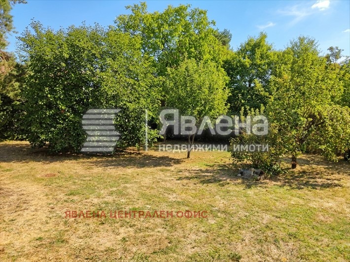 ���� ��� ���� ���� | Imot.bg � ����������� 17