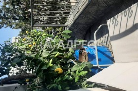 ����� ���� ��� ���� ����,���� �����, �������