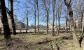 Дава под наем  Магазин град София , Стрелбище , 280 кв.м | 11130982 - изображение [12]
