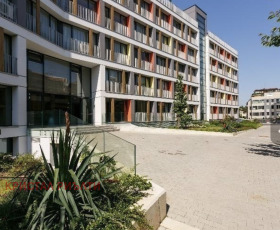 ������ ���� ��� ���� �����, ����������