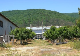 ���� ��� ���� ����� | Imot.bg � ����� ������ 5