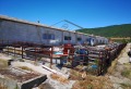 Дава под наем БИЗНЕС ИМОТ, гр. Поморие, област Бургас, снимка 6