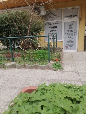 Sklep Witosza, Sofia