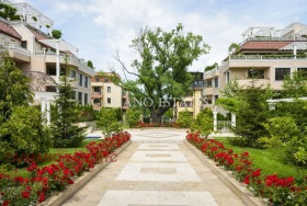 ���� ��� ���� 3-����� | Imot.bg � ����� ������ 8
