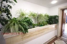 ���� ��� ���� 1-����� | Imot.bg � ����� ������ 7