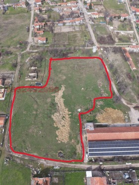 ������ ���� ��� ���� �����