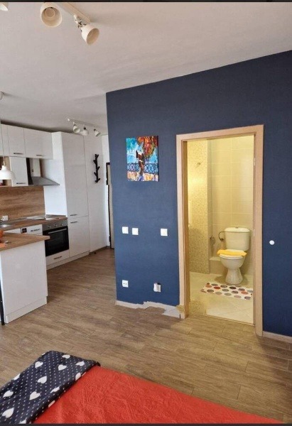 For Rent  Studio Plovdiv , Karshiyaka , 40 sq.m | 23060270 - image [4]