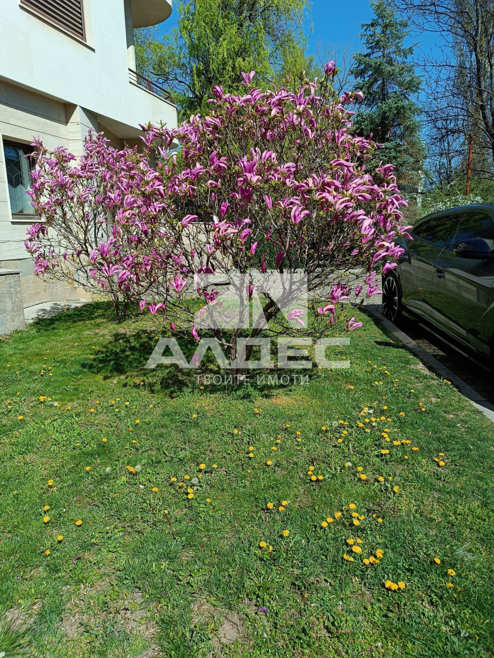 ���� ��� ���� 3-����� | Imot.bg � ����������� 1