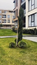 Дава под наем  2-стаен град Пловдив , Остромила , 68 кв.м | 76505935 - изображение [9]