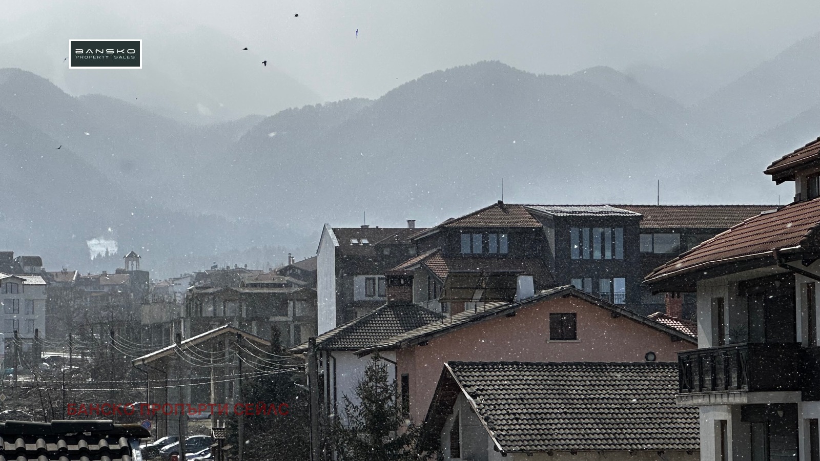 ���� ��� ���� 2-����� | Imot.bg � ����������� 14